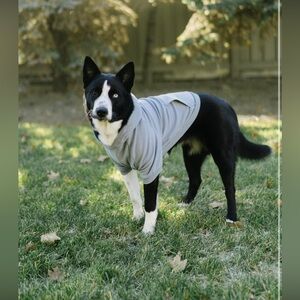 soft blue pawsitivity dog hoodie